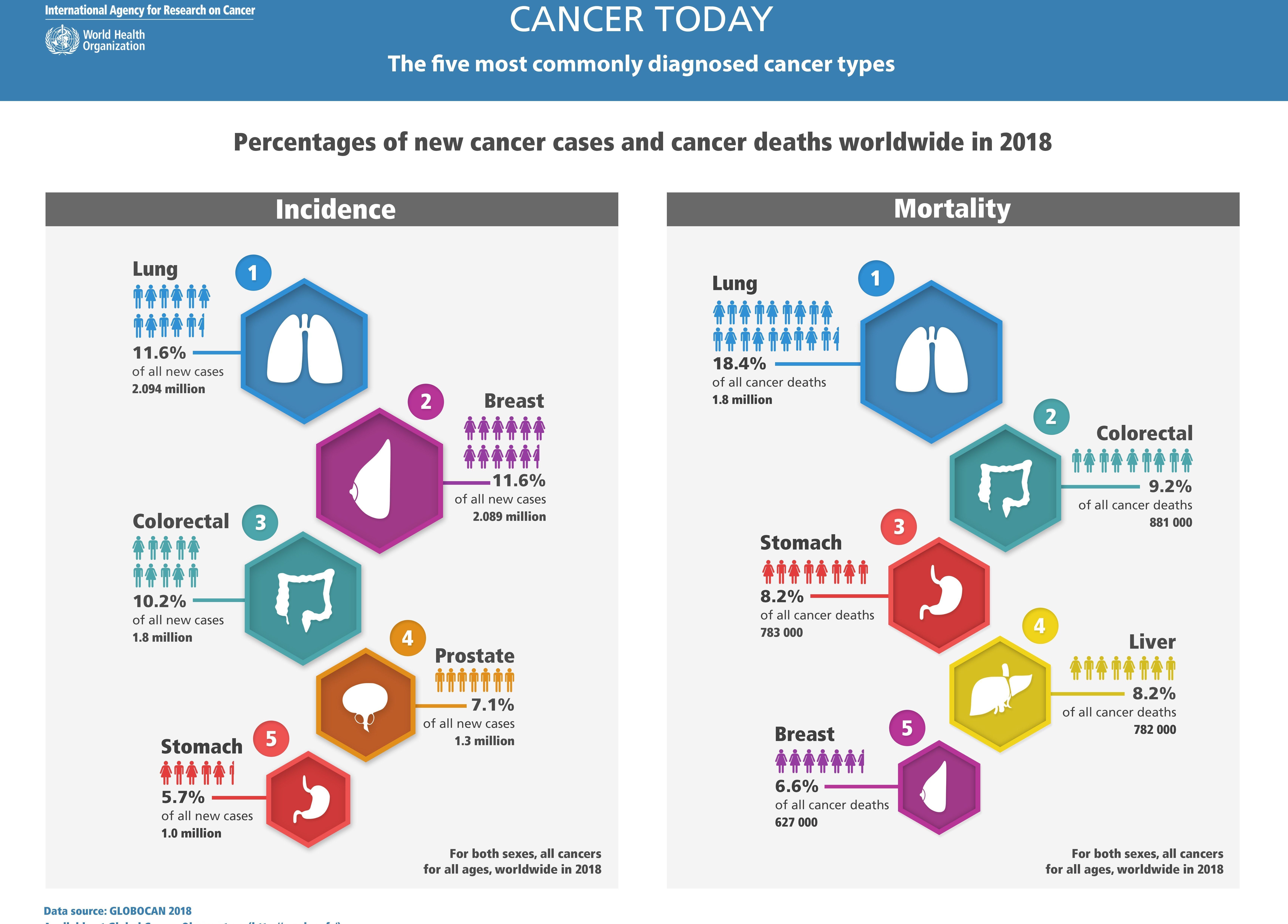 cancer research report