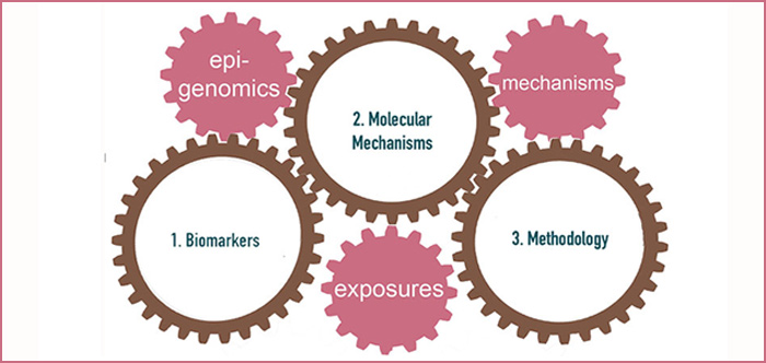 Epigénomique et mécanismes