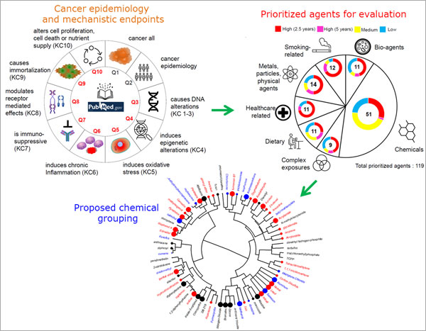 Prioritizing cancer hazard assessments for IARC Monographs using an integrated approach of database fusion and text mining