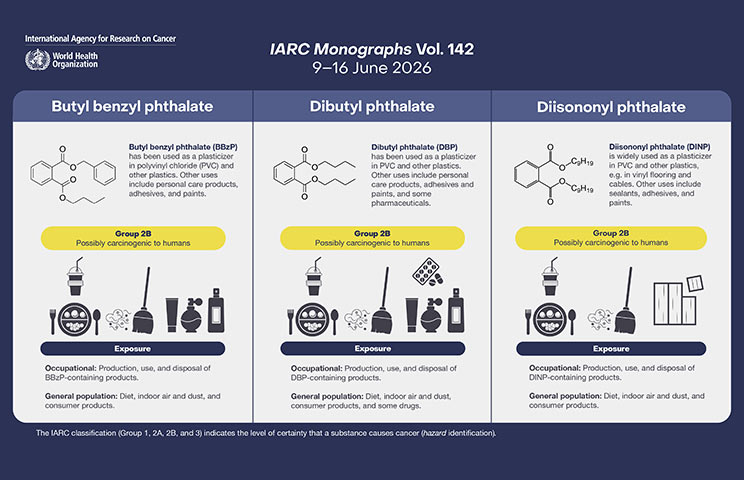 Monographs Meeting 142 Infographic